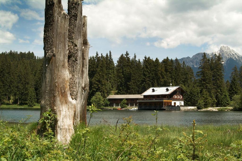 Alpenmotel Saeuling Пинсванг Экстерьер фото